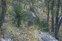 fh_0604.jpg