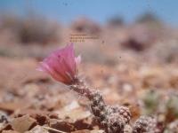 fh_1101.14.jpg