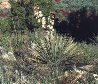 fh_1178.6.jpg