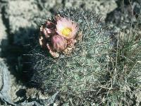 fh_19.1.jpg