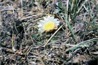 fh_23.01.jpg