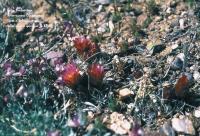 fh_69.84.jpg