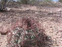 PD 119 La Rosita.JPG