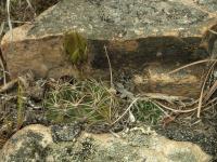 TB099_1.jpg