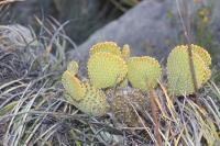 pa_1098.jpg