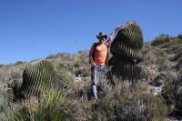 pa_124_echinocactus_platyacanthus.jpg