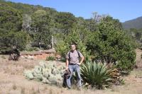 pa_180_opuntia.jpg